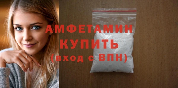 шишки Белокуриха
