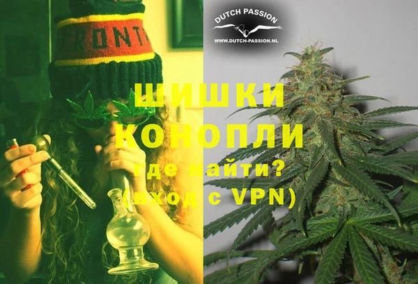 шишки Белокуриха