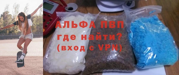 шишки Белокуриха