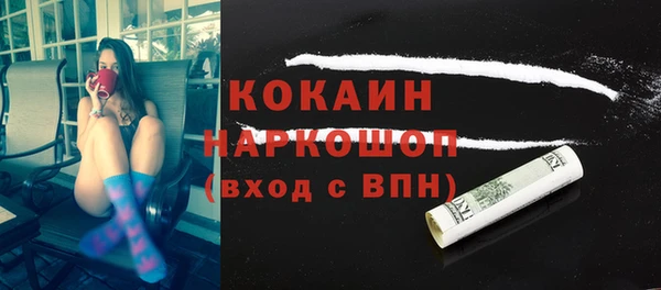 шишки Белокуриха