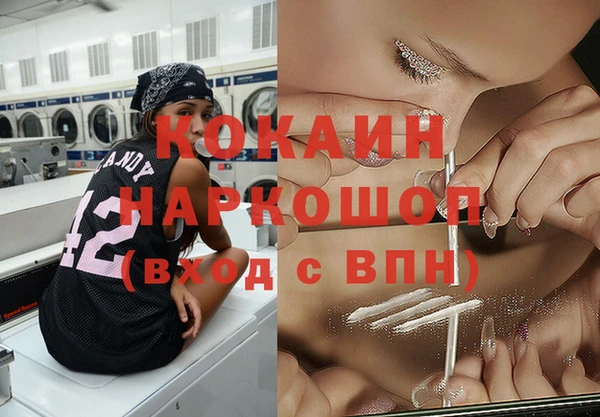 шишки Белокуриха
