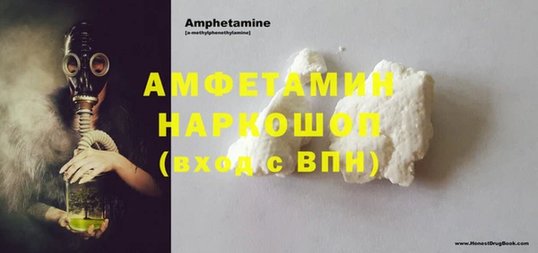 шишки Белокуриха