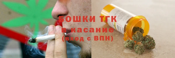 шишки Белокуриха