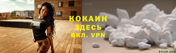 шишки Белокуриха