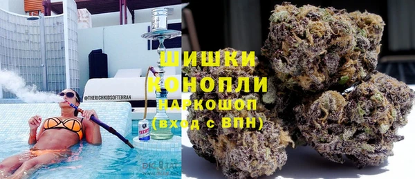 шишки Белокуриха