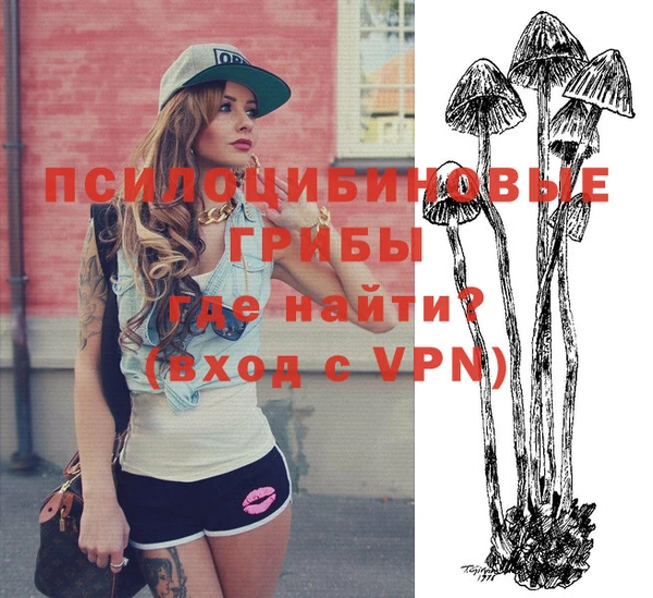 шишки Белокуриха