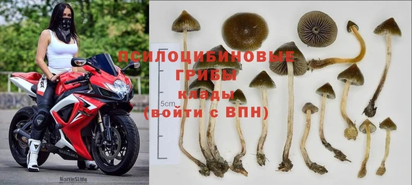 шишки Белокуриха