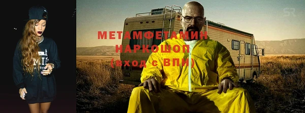 шишки Белокуриха